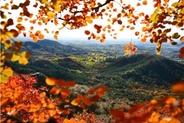 大舍為鄰，北京懷柔民宿設計