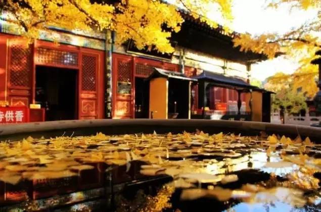 大舍為鄰，北京懷柔民宿設計