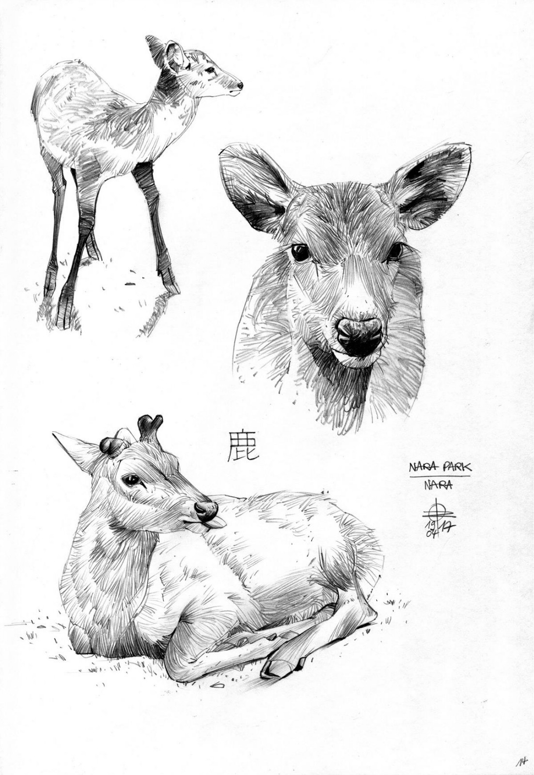 一組動(dòng)物手繪插畫