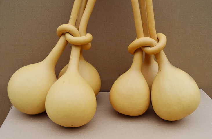 驚呆了，造型獨(dú)特的葫蘆工藝品