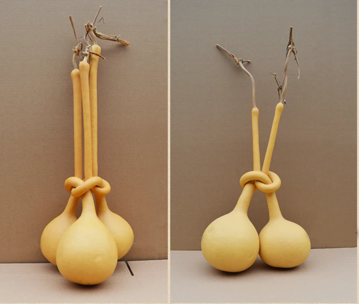 驚呆了，造型獨(dú)特的葫蘆工藝品