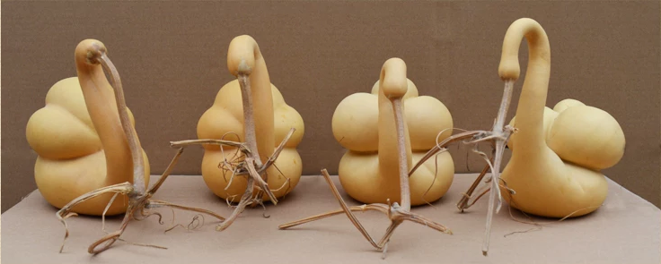 驚呆了，造型獨(dú)特的葫蘆工藝品