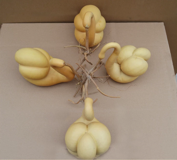 驚呆了，造型獨(dú)特的葫蘆工藝品