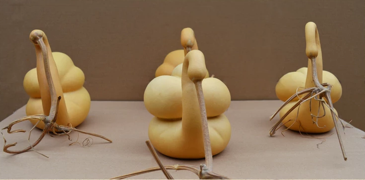 驚呆了，造型獨(dú)特的葫蘆工藝品