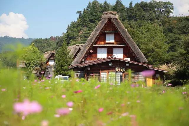 膩害了，上海有座40000㎡的水下博物館