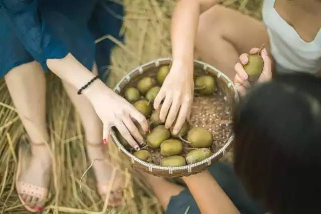 竹里云溪民宿設計，回歸田園