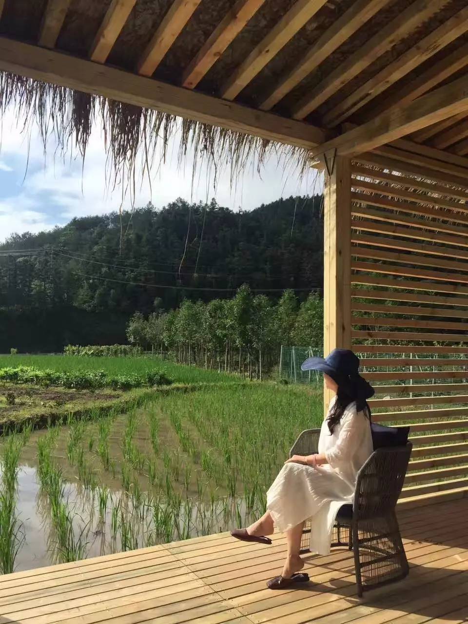 竹里云溪民宿設計，回歸田園