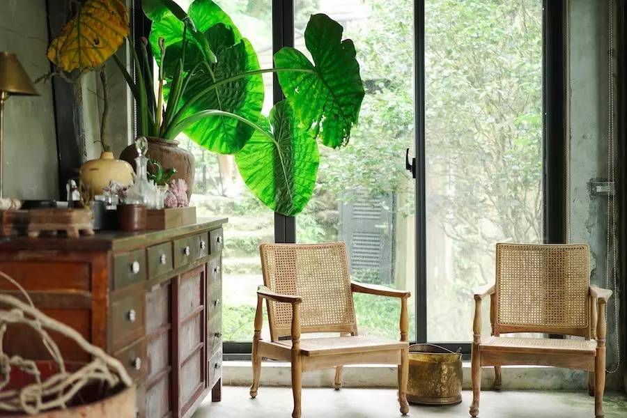 臺灣最文藝的山間小屋，數(shù)樹民宿設計