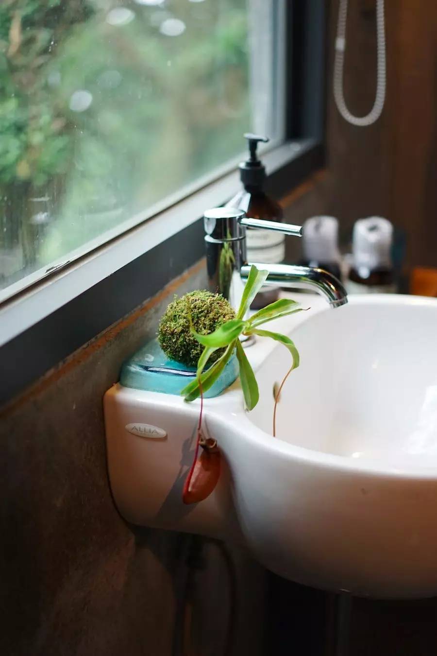 臺灣最文藝的山間小屋，數(shù)樹民宿設(shè)計