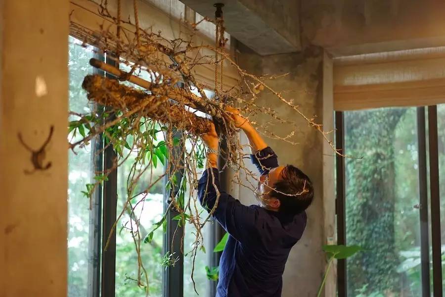 臺灣最文藝的山間小屋，數(shù)樹民宿設(shè)計