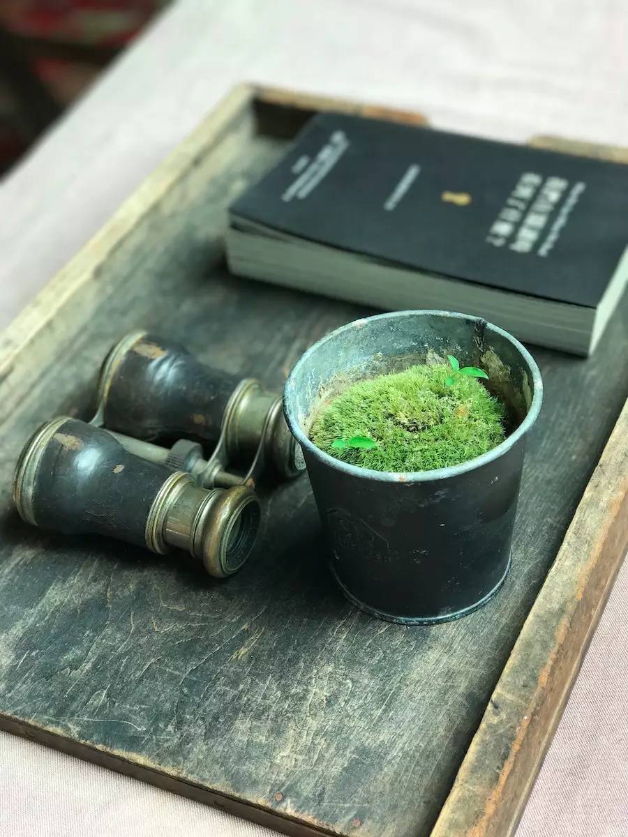 臺灣最文藝的山間小屋，數(shù)樹民宿設(shè)計