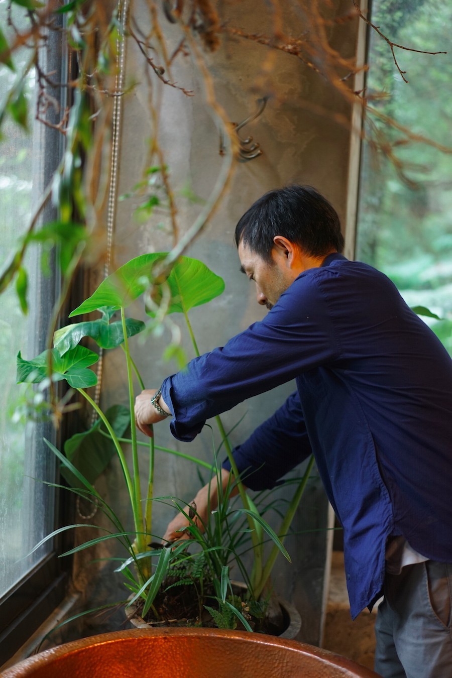 臺灣最文藝的山間小屋，數(shù)樹民宿設計