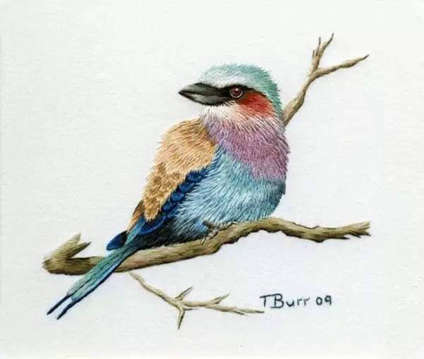 美的讓人無法呼吸，唯美刺繡圖案圖片