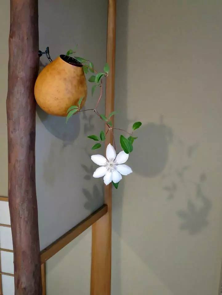 日本茶道文化的八大美：缺陷、簡素、枯槁、自