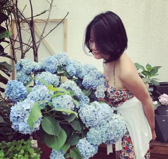 林中四舍民宿設(shè)計(jì)，一所鳥(niǎo)語(yǔ)花香的小木屋