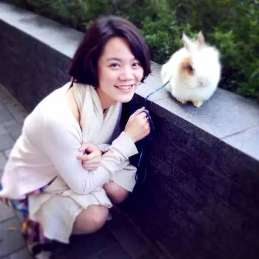 林中四舍民宿設(shè)計(jì)，一所鳥(niǎo)語(yǔ)花香的小木屋