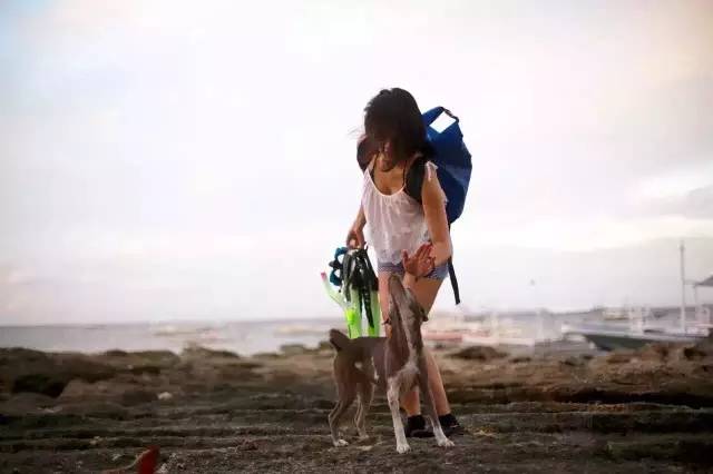 林中四舍民宿設(shè)計(jì)，一所鳥(niǎo)語(yǔ)花香的小木屋