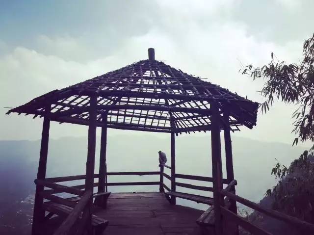 林中四舍民宿設(shè)計(jì)，一所鳥(niǎo)語(yǔ)花香的小木屋