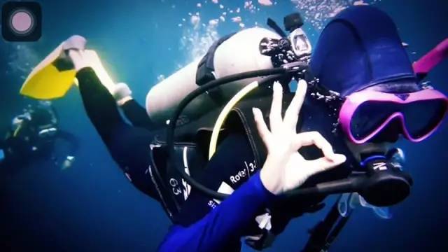 林中四舍民宿設(shè)計，一所鳥語花香的小木屋