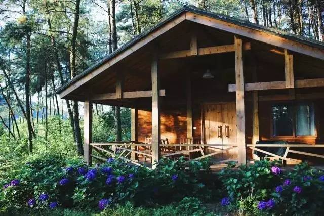 林中四舍民宿設(shè)計，一所鳥語花香的小木屋