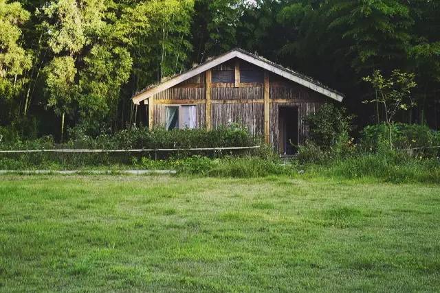 林中四舍民宿設(shè)計，一所鳥語花香的小木屋