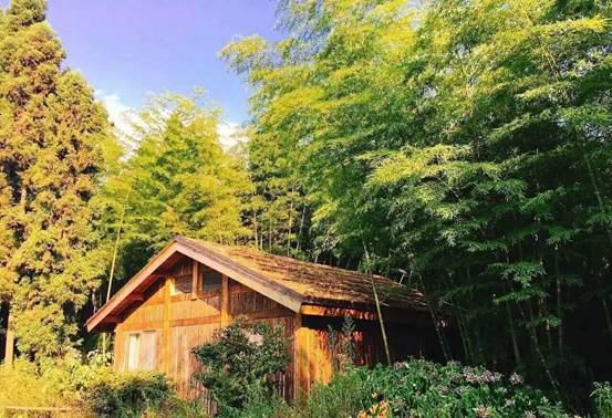 林中四舍民宿設計，一所鳥語花香的小木屋