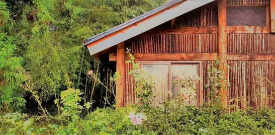 林中四舍民宿設計，一所鳥語花香的小木屋