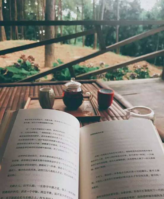 林中四舍民宿設(shè)計(jì)，一所鳥(niǎo)語(yǔ)花香的小木屋