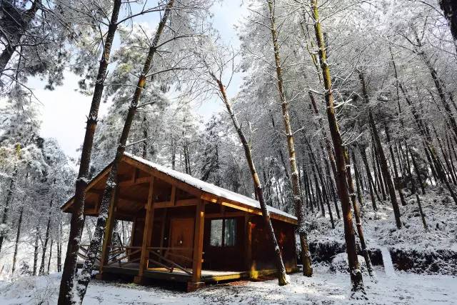 林中四舍民宿設(shè)計，一所鳥語花香的小木屋