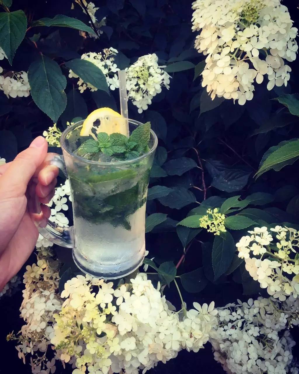 林中四舍民宿設(shè)計(jì)，一所鳥語花香的小木屋