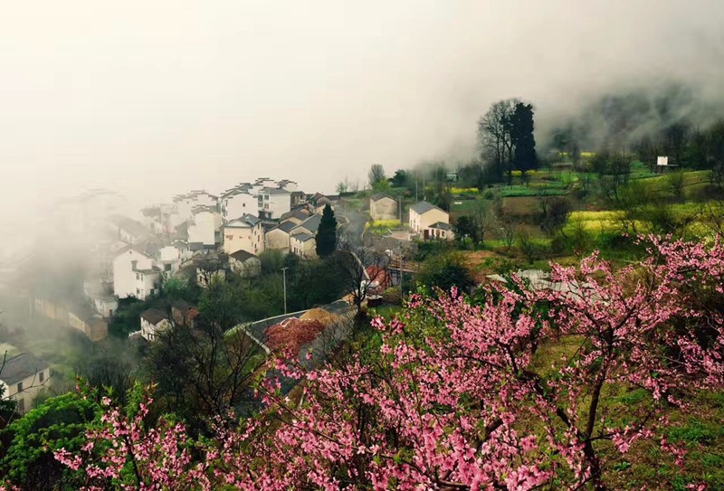 景瀾·返里民宿設計，返回故里