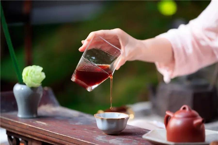 觀芷隱軒，以茶會(huì)友的民宿