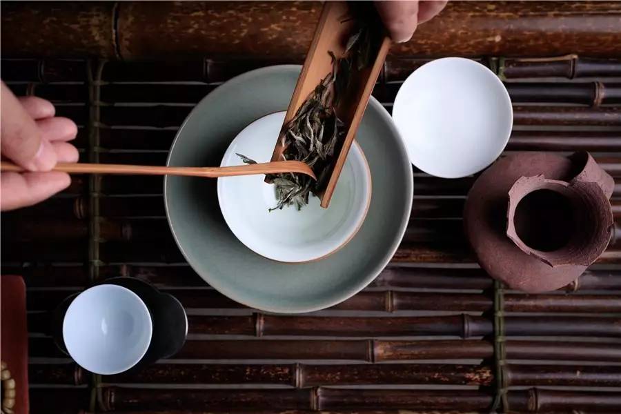 觀芷隱軒，以茶會(huì)友的民宿