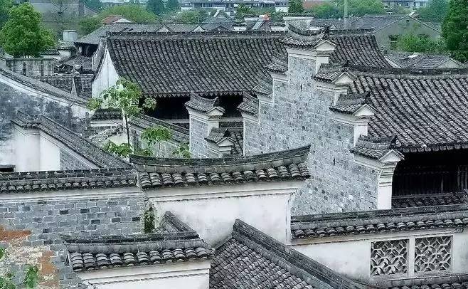 慈舍，悲喜隱去慈從舍生