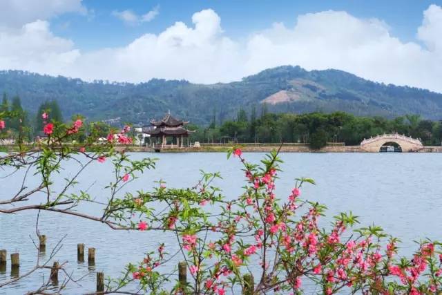 慈舍，悲喜隱去慈從舍生