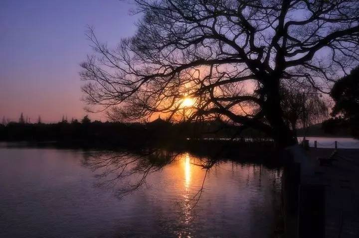 慈舍，悲喜隱去慈從舍生