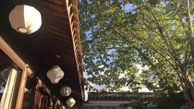 慈舍，悲喜隱去慈從舍生