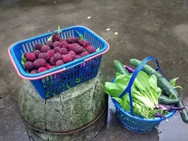 慈舍，悲喜隱去慈從舍生