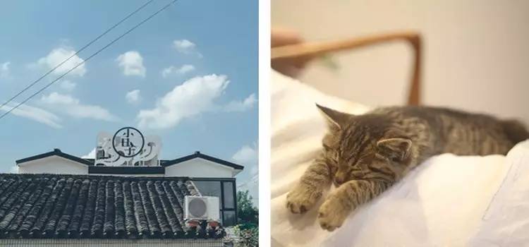 小日子生活館，選一本書過自己的生活方式