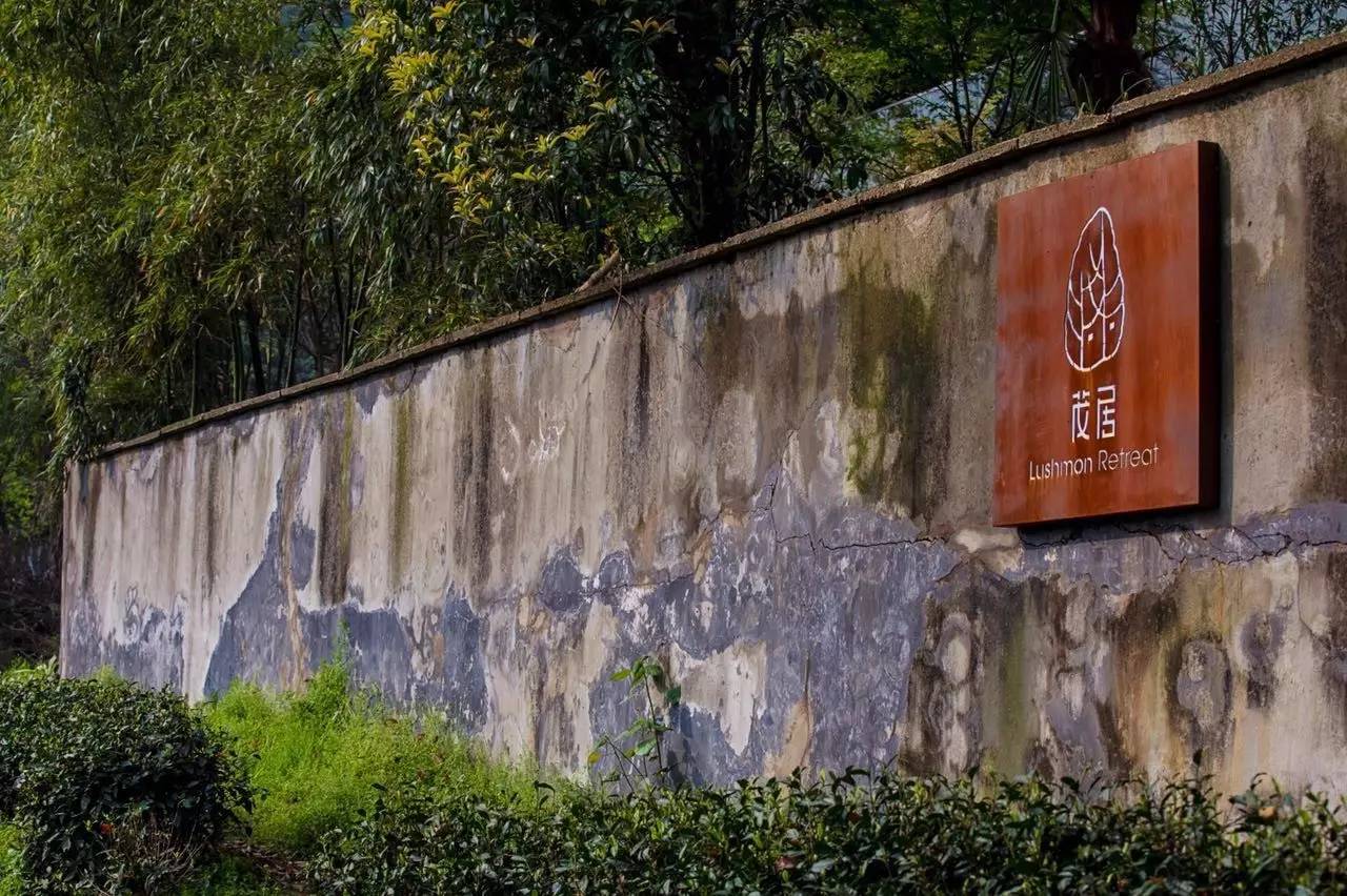 杭州龍井茂居民宿，在茶田之中枕著茶香入睡