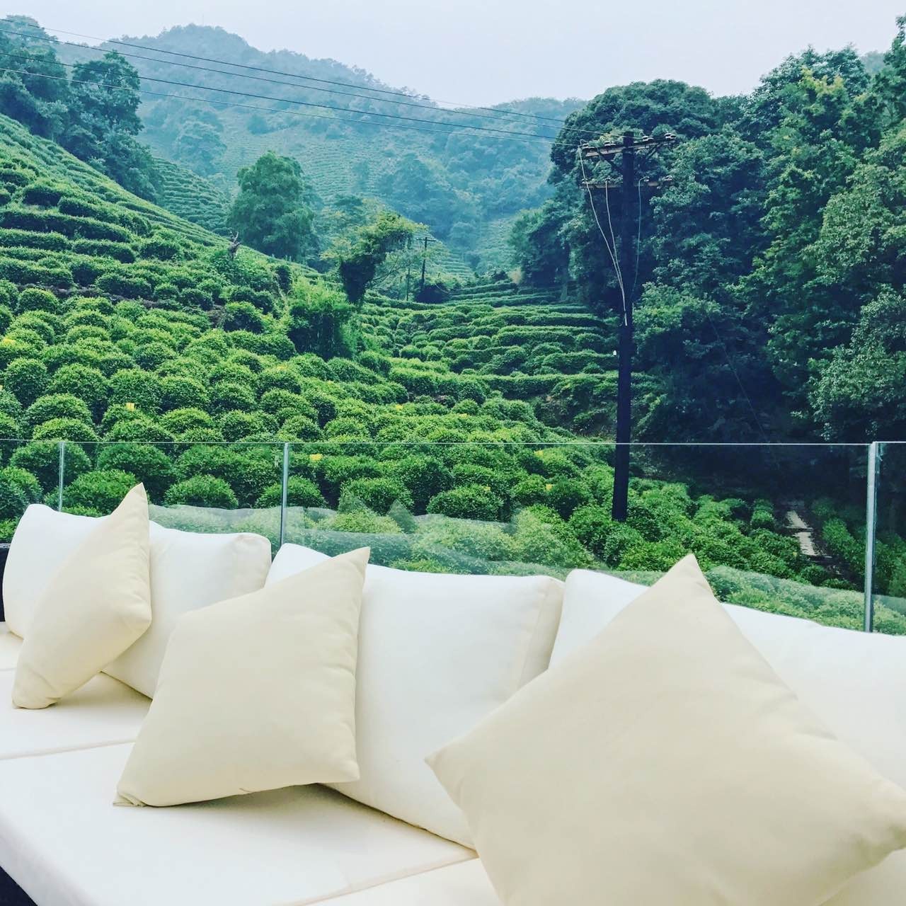 杭州龍井茂居民宿，在茶田之中枕著茶香入睡