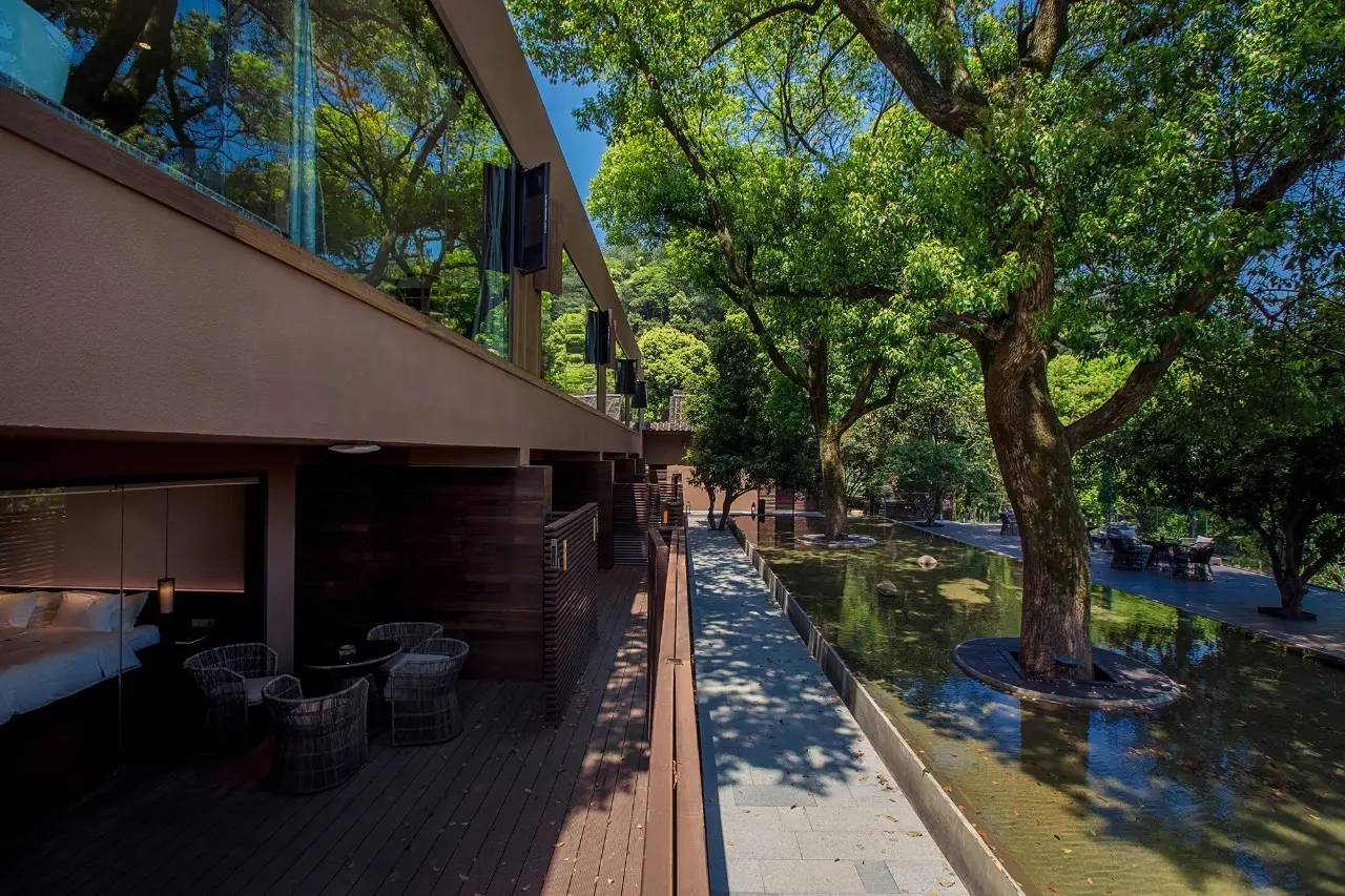 杭州龍井茂居民宿，在茶田之中枕著茶香入睡