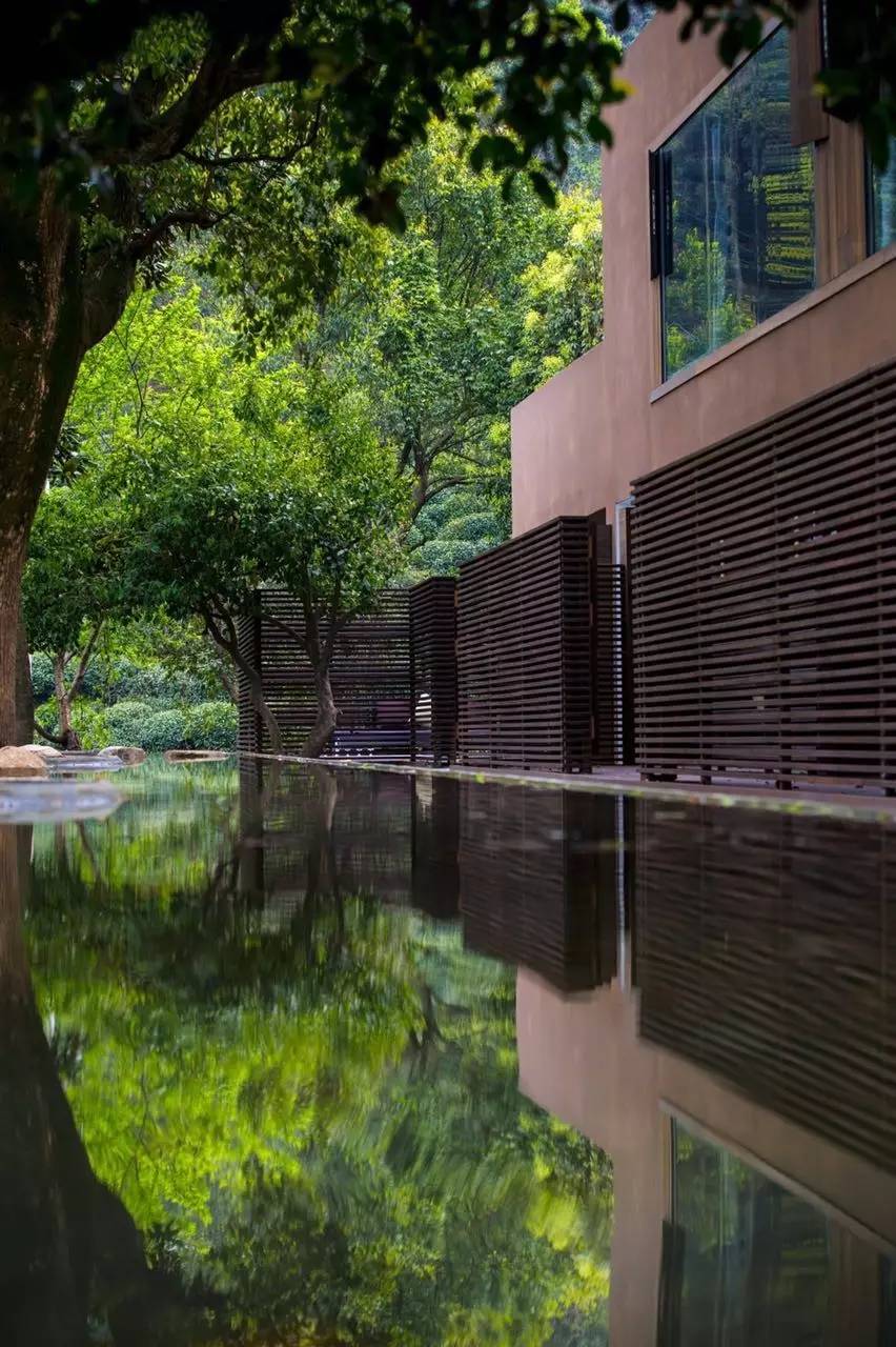 杭州龍井茂居民宿，在茶田之中枕著茶香入睡