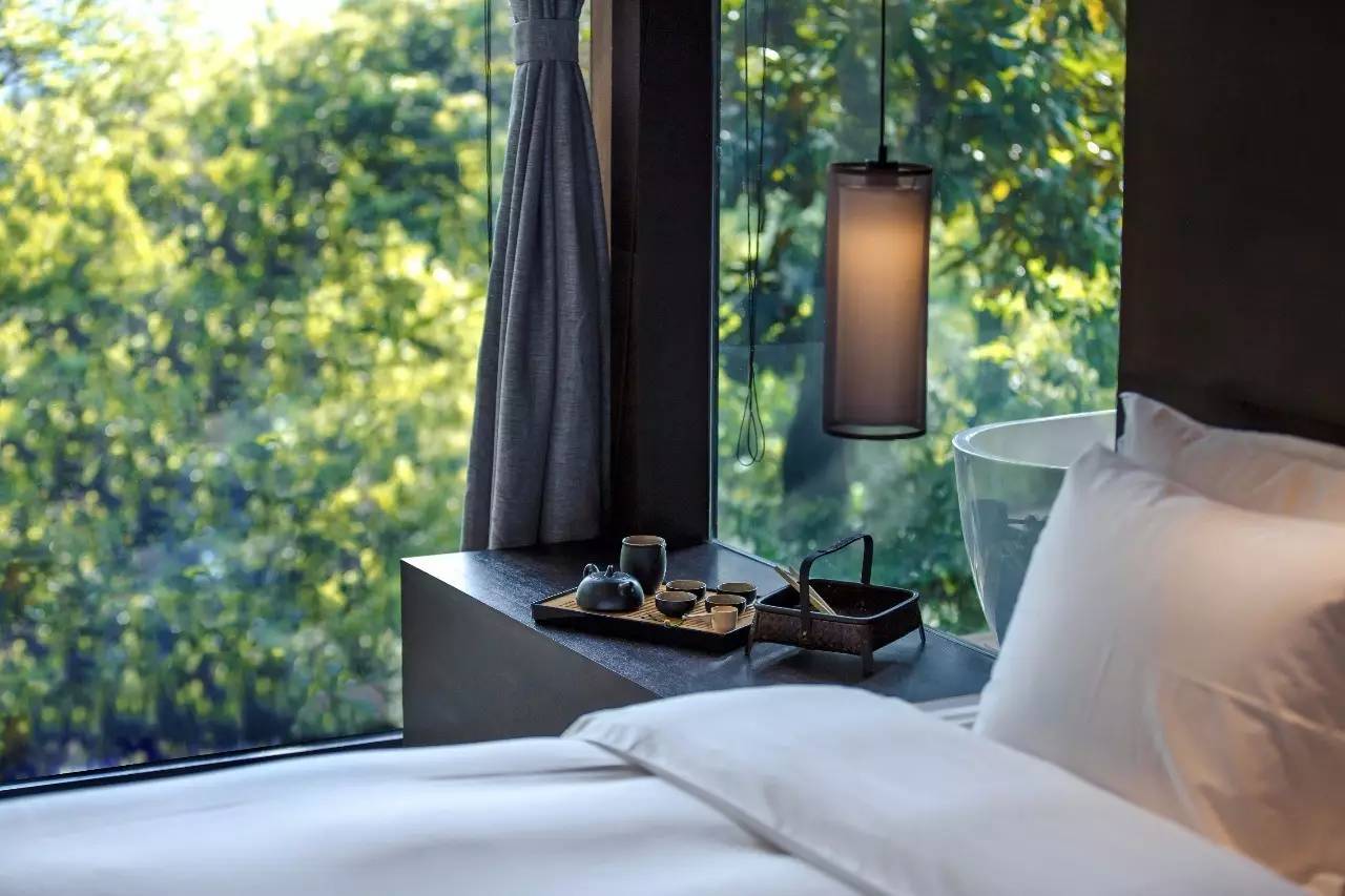 杭州龍井茂居民宿，在茶田之中枕著茶香入睡