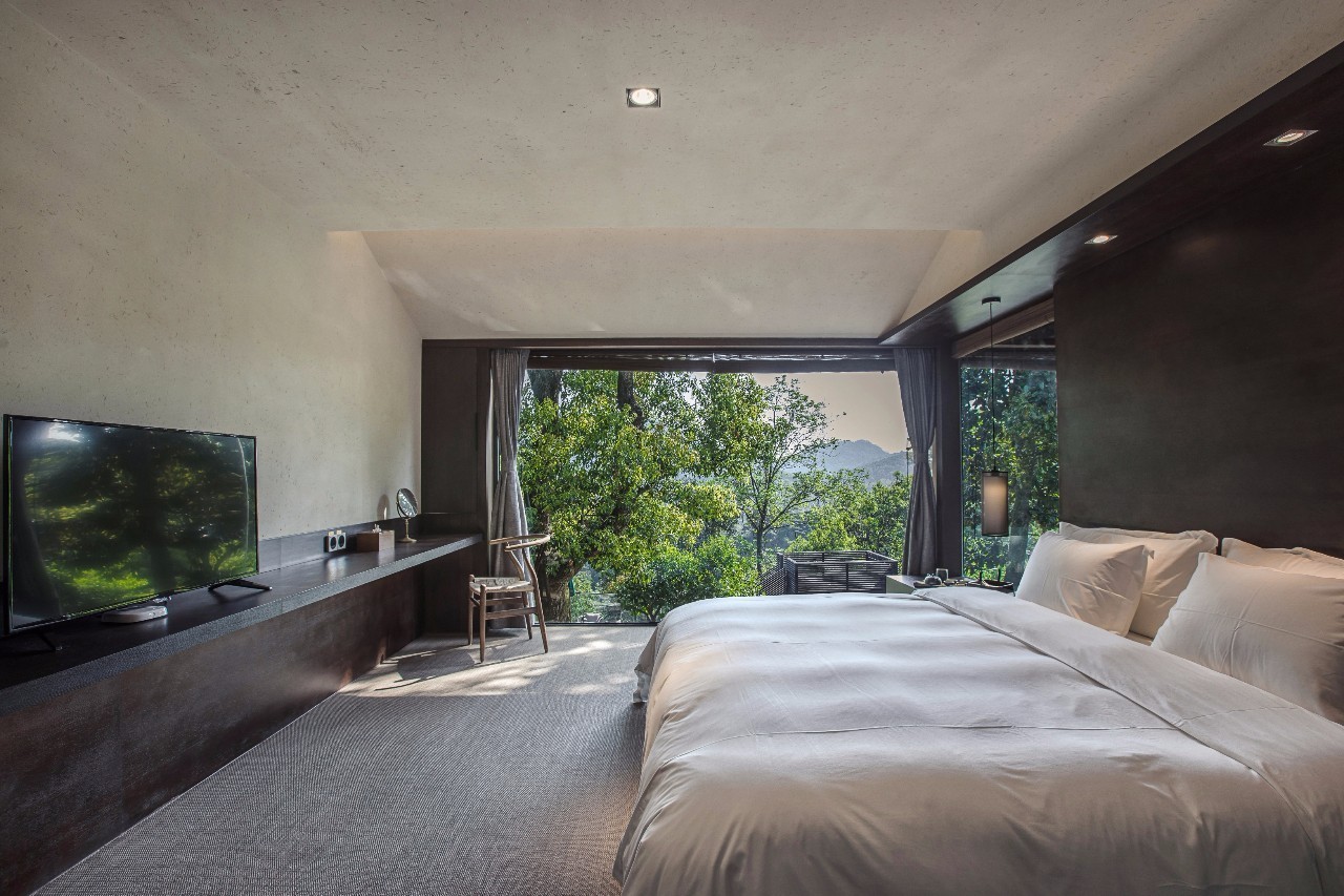 杭州龍井茂居民宿，在茶田之中枕著茶香入睡