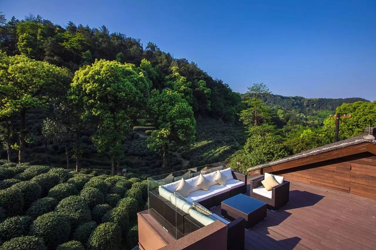 杭州龍井茂居民宿，在茶田之中枕著茶香入睡