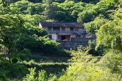 上虞陳溪鄉(xiāng)雪花谷民宿，在山谷里與自然相伴