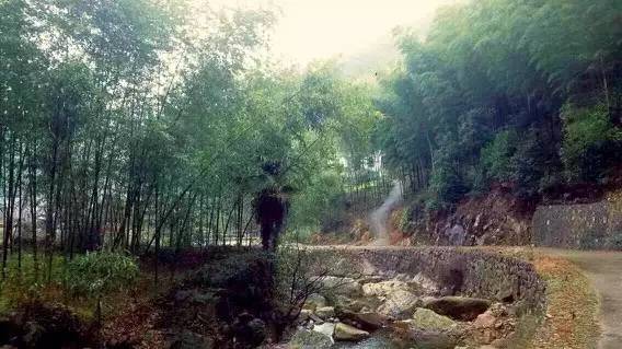 上虞陳溪鄉(xiāng)雪花谷民宿，在山谷里與自然相伴