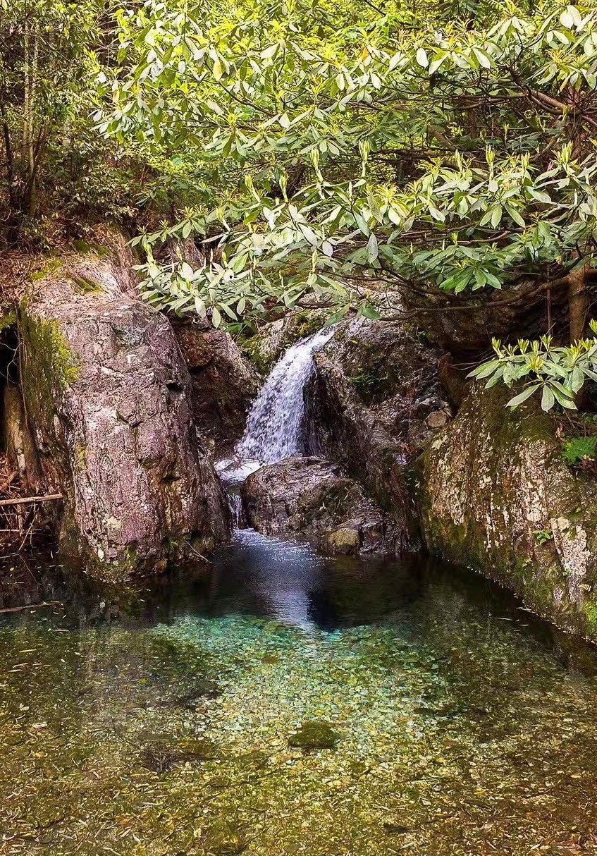 上虞陳溪鄉(xiāng)雪花谷民宿，在山谷里與自然相伴