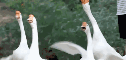 上虞陳溪鄉(xiāng)雪花谷民宿，在山谷里與自然相伴